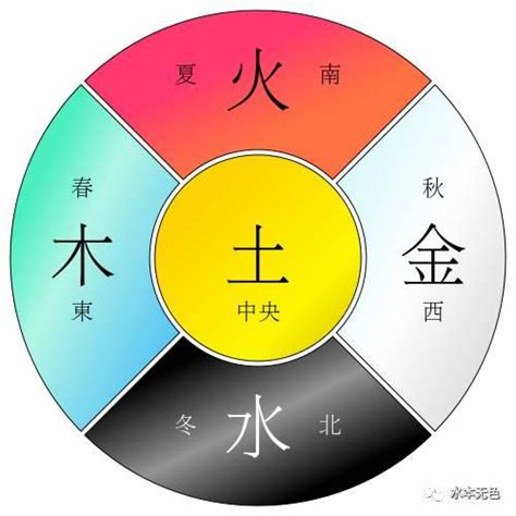 屬龍的五行|【屬龍 五行】屬龍五行之謎：不可不知的招財風水全攻略